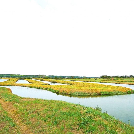 Cote & Sables Immobilier : Terrain | L'ILE-D'OLONNE (85340) | 33500.00m2 | 35 900 € 