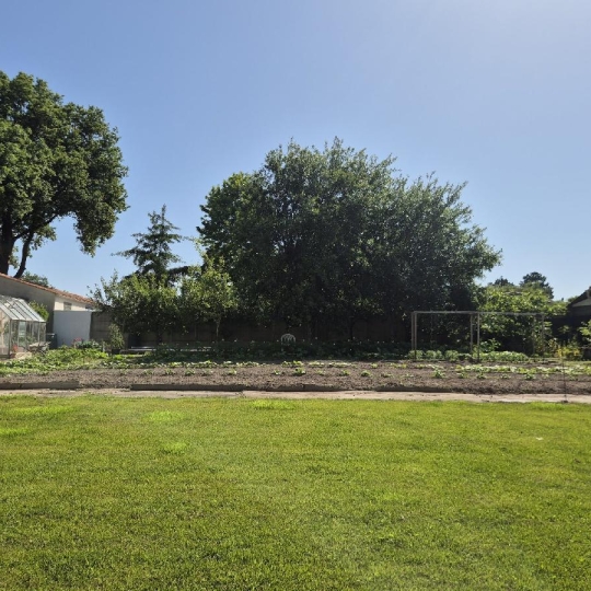 Cote & Sables Immobilier : Terrain | SAINTE-FOY (85150) | 533.00m2 | 90 000 € 