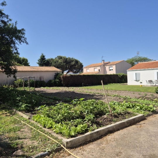  Cote & Sables Immobilier : Terrain | SAINTE-FOY (85150) | 533 m2 | 90 000 € 
