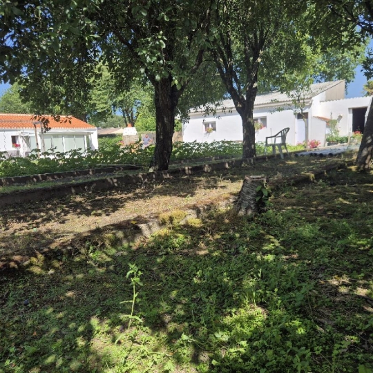  Cote & Sables Immobilier : Terrain | SAINTE-FOY (85150) | 533 m2 | 90 000 € 