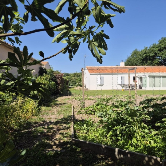  Cote & Sables Immobilier : Terrain | SAINTE-FOY (85150) | 533 m2 | 90 000 € 