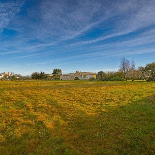  Cote & Sables Immobilier : Terrain | L'ILE-D'OLONNE (85340) | 3 305 m2 | 182 900 € 