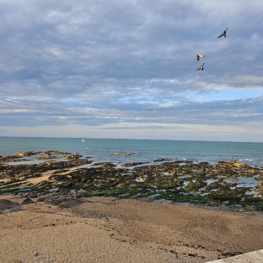  Cote & Sables Immobilier : Appartement | LES SABLES-D'OLONNE (85100) | 62 m2 | 429 500 € 