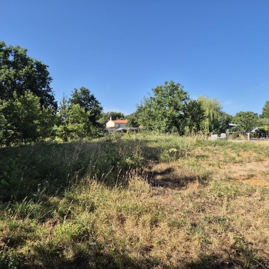  Cote & Sables Immobilier : Terrain | GROSBREUIL (85440) | 508 m2 | 55 500 € 