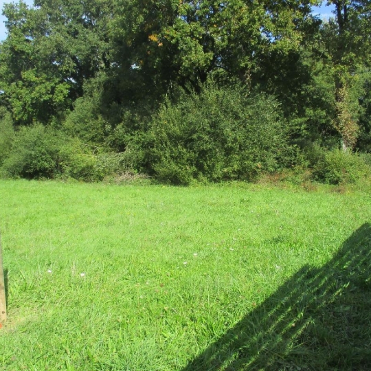  Cote & Sables Immobilier : Terrain | SAINTE-FOY (85150) | 2 348 m2 | 129 900 &euro; 