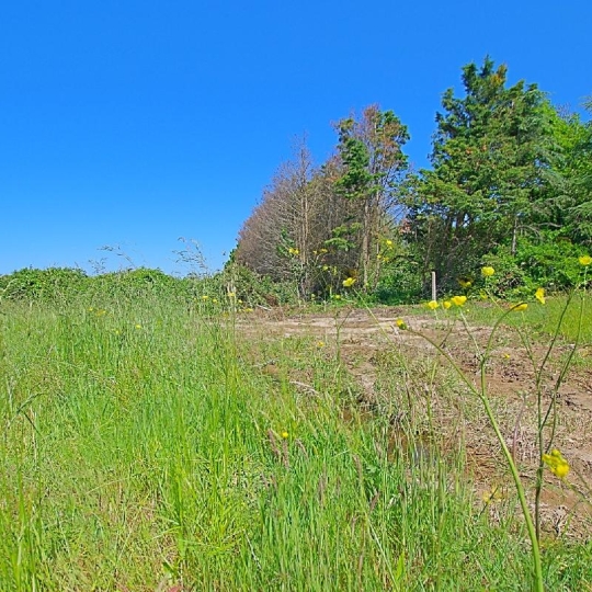  Cote & Sables Immobilier : Ground | L'ILE-D'OLONNE (85340) | 986 m2 | 149 900 € 