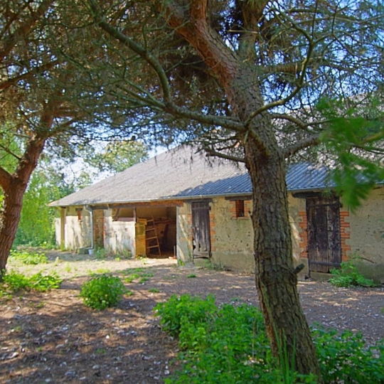  Cote & Sables Immobilier : Maison / Villa | SAINTE-FOY (85150) | 389 m2 | 190 000 € 