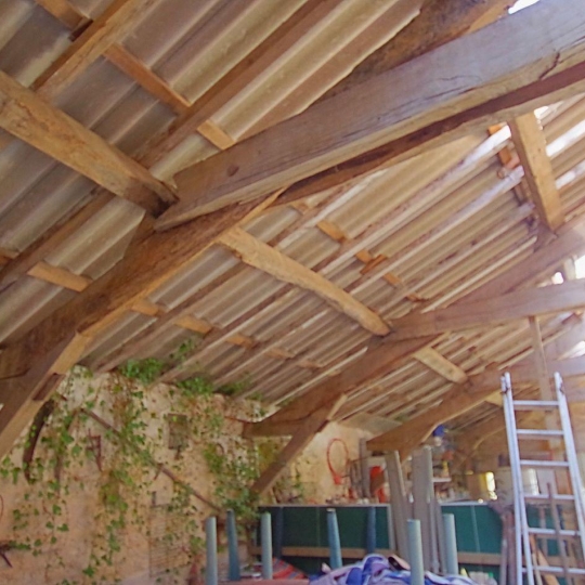  Cote & Sables Immobilier : Maison / Villa | SAINTE-FOY (85150) | 389 m2 | 190 000 € 