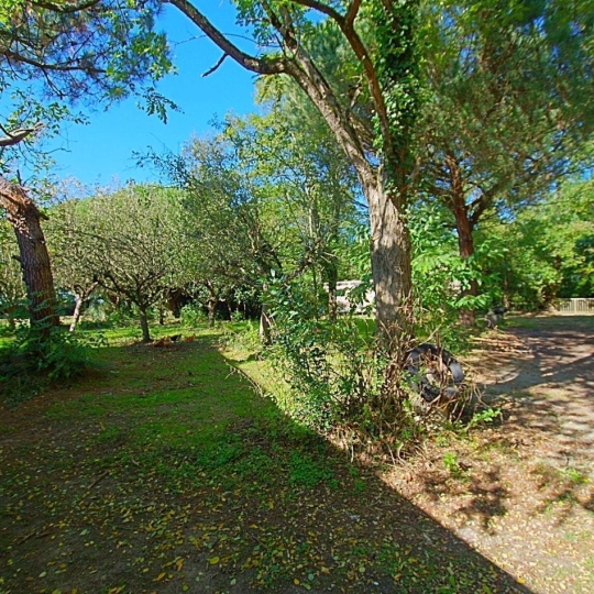 Cote & Sables Immobilier : Maison / Villa | SAINTE-FOY (85150) | 389 m2 | 190 000 € 