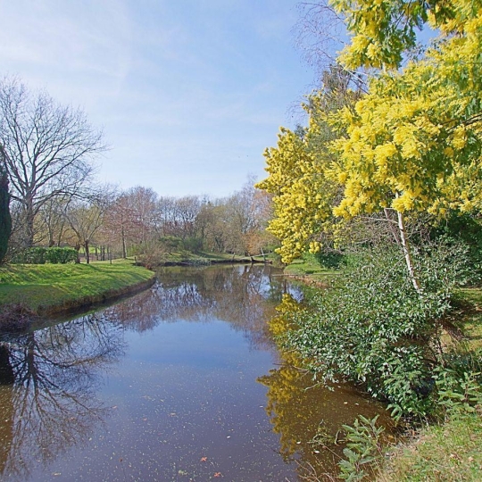  Cote & Sables Immobilier : Maison / Villa | SAINTE-FOY (85150) | 170 m2 | 630 000 € 