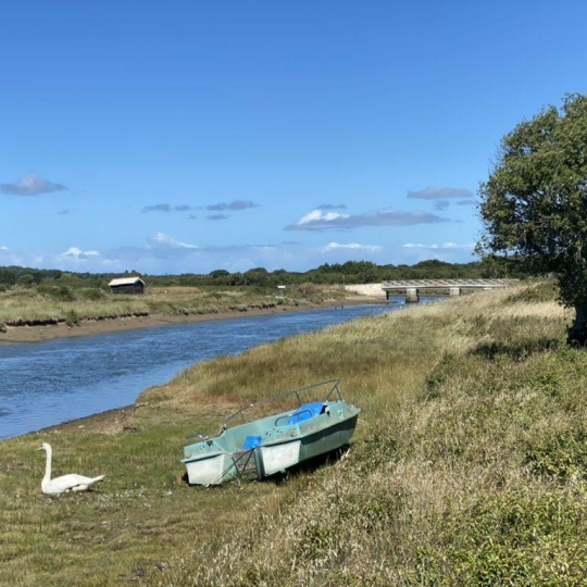  Cote & Sables Immobilier : Terrain | L'ILE-D'OLONNE (85340) | 0 m2 | 20 000 € 