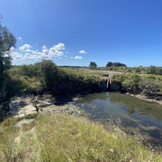  Cote & Sables Immobilier : Terrain | L'ILE-D'OLONNE (85340) | 0 m2 | 20 000 € 