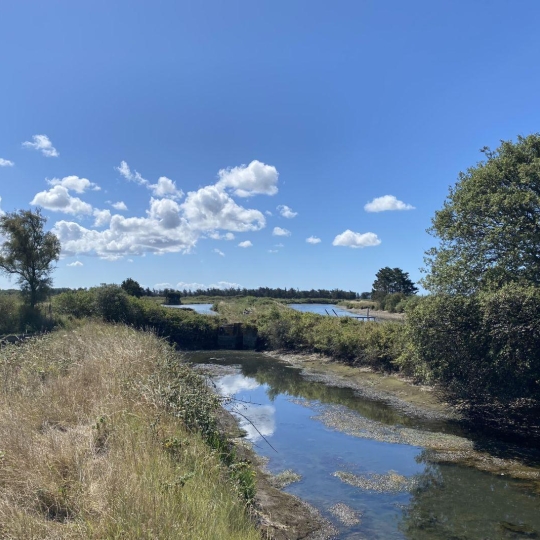  Cote & Sables Immobilier : Terrain | L'ILE-D'OLONNE (85340) | 0 m2 | 20 000 € 
