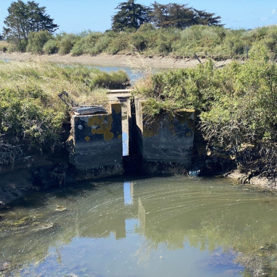  Cote & Sables Immobilier : Terrain | L'ILE-D'OLONNE (85340) | 0 m2 | 20 000 € 