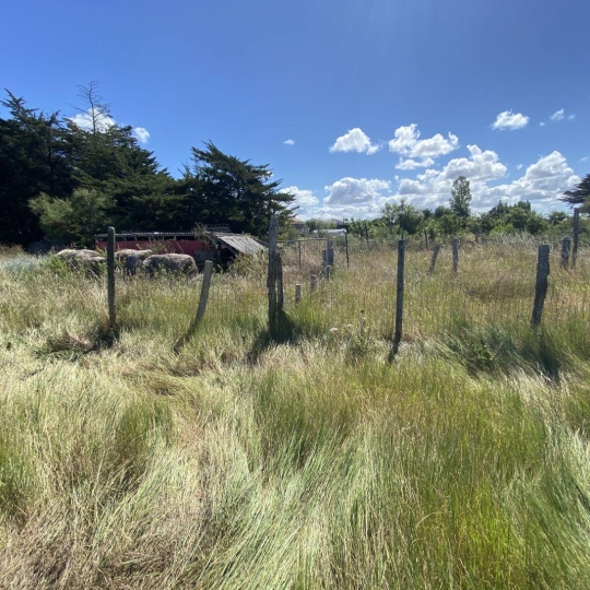  Cote & Sables Immobilier : Terrain | L'ILE-D'OLONNE (85340) | 0 m2 | 20 000 € 