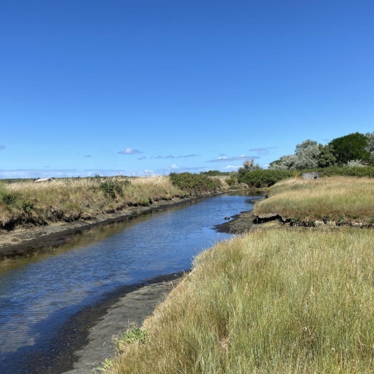  Cote & Sables Immobilier : Terrain | L'ILE-D'OLONNE (85340) | 0 m2 | 20 000 € 