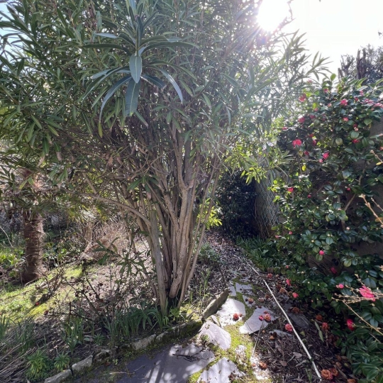  Cote & Sables Immobilier : Maison / Villa | LES SABLES-D'OLONNE (85100) | 100 m2 | 368 900 € 