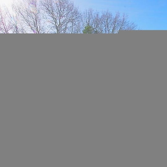  Cote & Sables Immobilier : Terrain | SAINTE-FOY (85150) | 697 m2 | 100 000 € 
