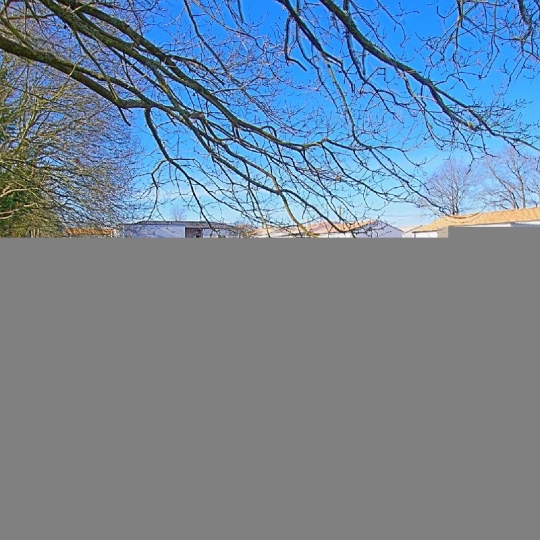  Cote & Sables Immobilier : Terrain | SAINTE-FOY (85150) | 697 m2 | 100 000 € 