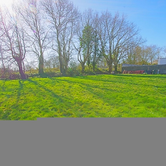  Cote & Sables Immobilier : Terrain | SAINTE-FOY (85150) | 0 m2 | 100 000 € 