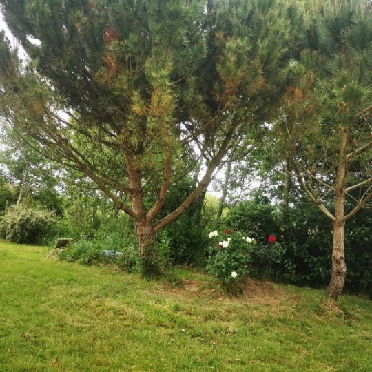  Cote & Sables Immobilier : Terrain | TALMONT-SAINT-HILAIRE (85440) | 9 295 m2 | 69 900 € 