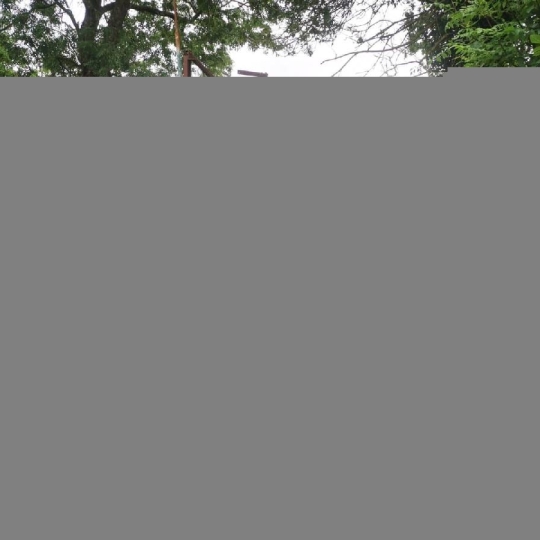  Cote & Sables Immobilier : Terrain | TALMONT-SAINT-HILAIRE (85440) | 9 295 m2 | 69 900 € 