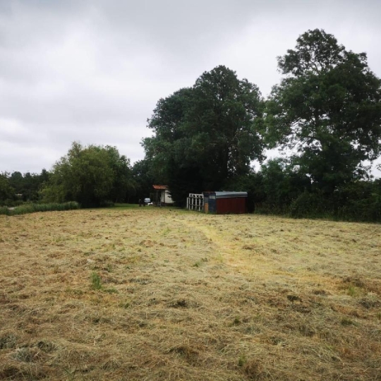  Cote & Sables Immobilier : Terrain | TALMONT-SAINT-HILAIRE (85440) | 9 295 m2 | 69 900 € 