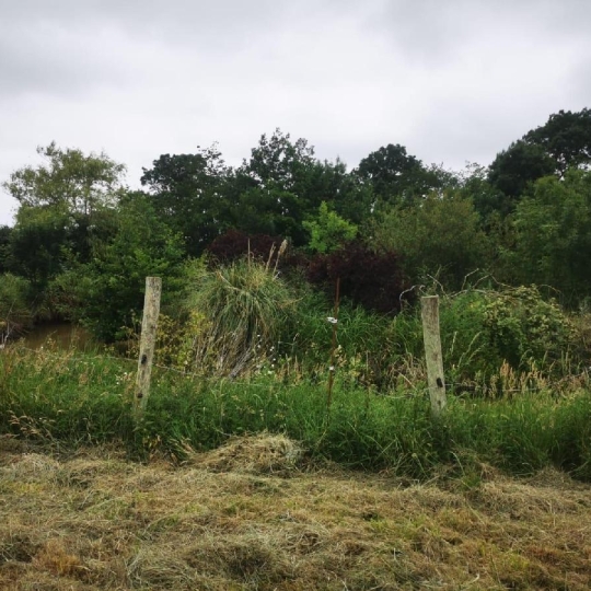  Cote & Sables Immobilier : Terrain | TALMONT-SAINT-HILAIRE (85440) | 9 295 m2 | 69 900 € 