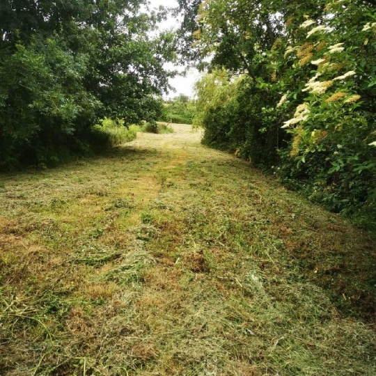  Cote & Sables Immobilier : Terrain | TALMONT-SAINT-HILAIRE (85440) | 9 295 m2 | 69 900 € 