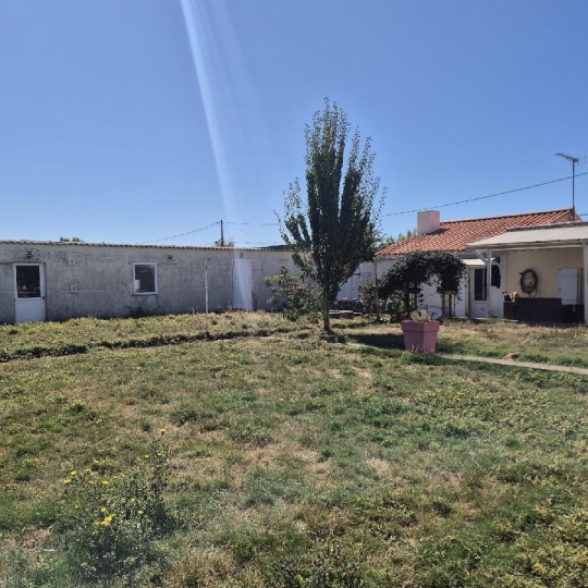  Cote & Sables Immobilier : Maison / Villa | SAINT-MATHURIN (85150) | 110 m2 | 232 000 € 