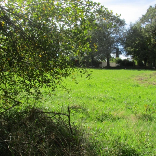  Cote & Sables Immobilier : Terrain | SAINTE-FOY (85150) | 750 m2 | 159 900 € 