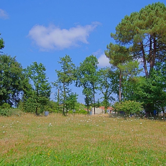  Cote & Sables Immobilier : Terrain | SAINTE-FOY (85150) | 0 m2 | 126 900 € 