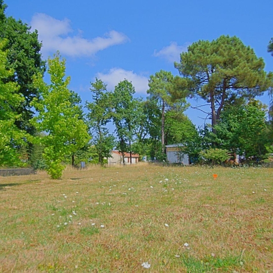  EIRL Cote & Sables Immobilier : Terrain | SAINTE-FOY (85150) | 0 m2 | 126 900 € 