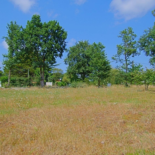  EIRL Cote & Sables Immobilier : Terrain | SAINTE-FOY (85150) | 0 m2 | 126 900 € 