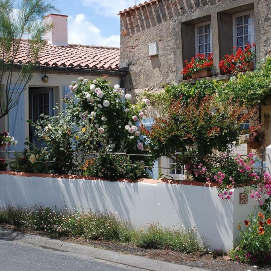  Cote & Sables Immobilier : Maison / Villa | L'ILE-D'OLONNE (85340) | 115 m2 | 429 500 € 