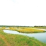  Cote & Sables Immobilier : Terrain | L'ILE-D'OLONNE (85340) | 33 500 m2 | 35 900 € 