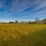  Cote & Sables Immobilier : Terrain | L'ILE-D'OLONNE (85340) | 3 305 m2 | 182 900 € 