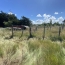 Cote & Sables Immobilier : Terrain | L'ILE-D'OLONNE (85340) | 0 m2 | 20 000 € 