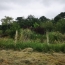  Cote & Sables Immobilier : Terrain | TALMONT-SAINT-HILAIRE (85440) | 9 295 m2 | 69 900 € 
