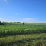 Cote & Sables Immobilier : House | SAINT-MATHURIN (85150) | 117 m2 | 334 900 &euro; 