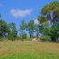  Cote & Sables Immobilier : Terrain | SAINTE-FOY (85150) | 0 m2 | 126 900 € 