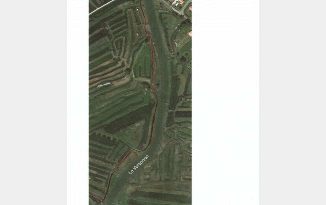 Cote & Sables Immobilier : Terrain | L'ILE-D'OLONNE (85340) | 33 500 m2 | 35 900 € 