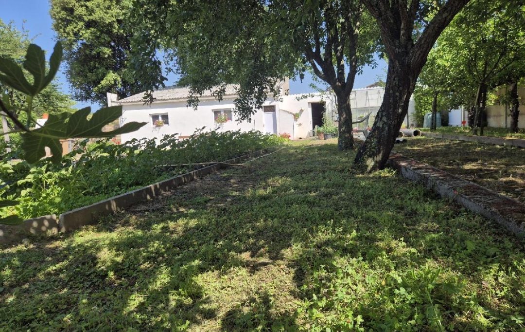 Cote & Sables Immobilier : Terrain | SAINTE-FOY (85150) | 533 m2 | 90 000 € 