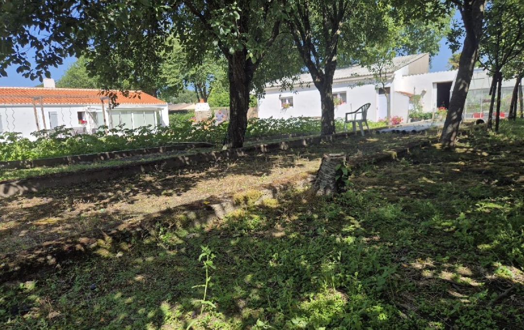 Cote & Sables Immobilier : Terrain | SAINTE-FOY (85150) | 533 m2 | 90 000 € 