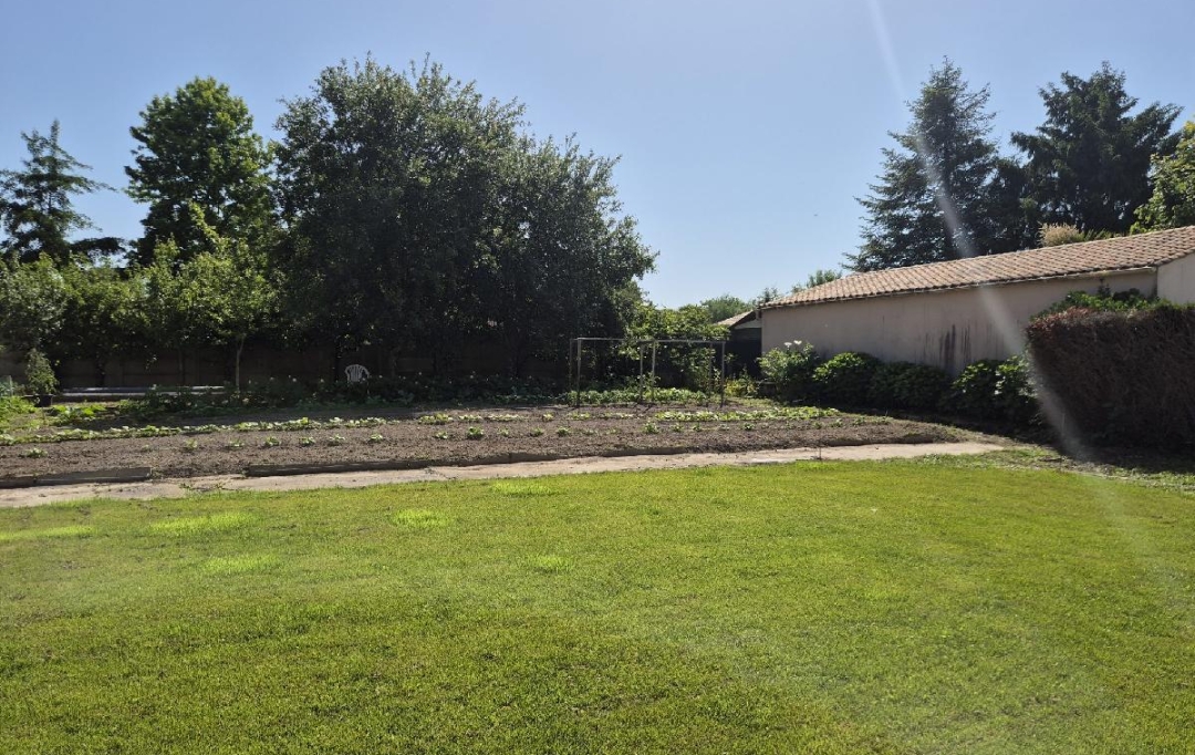 Cote & Sables Immobilier : Terrain | SAINTE-FOY (85150) | 533 m2 | 90 000 € 