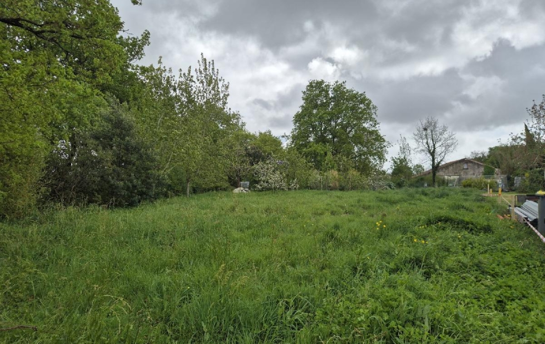 Cote & Sables Immobilier : Terrain | GROSBREUIL (85440) | 1 435 m2 | 159 900 € 