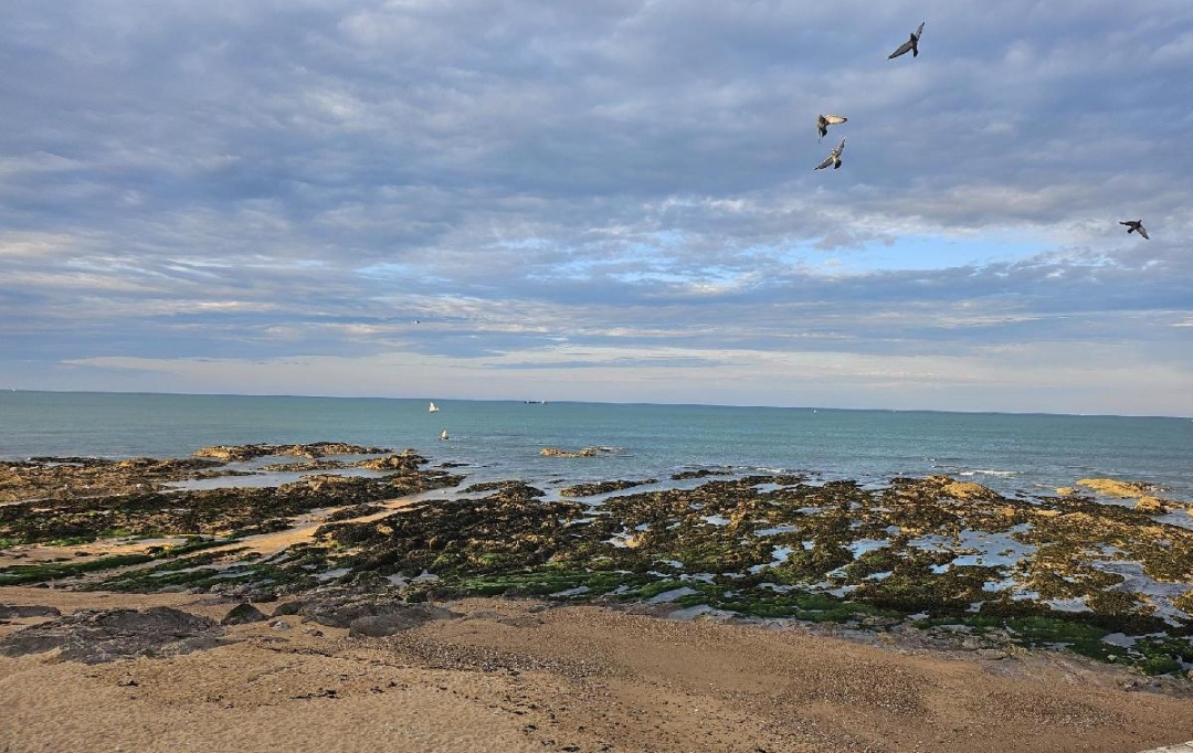 Cote & Sables Immobilier : Appartement | LES SABLES-D'OLONNE (85100) | 62 m2 | 429 500 € 
