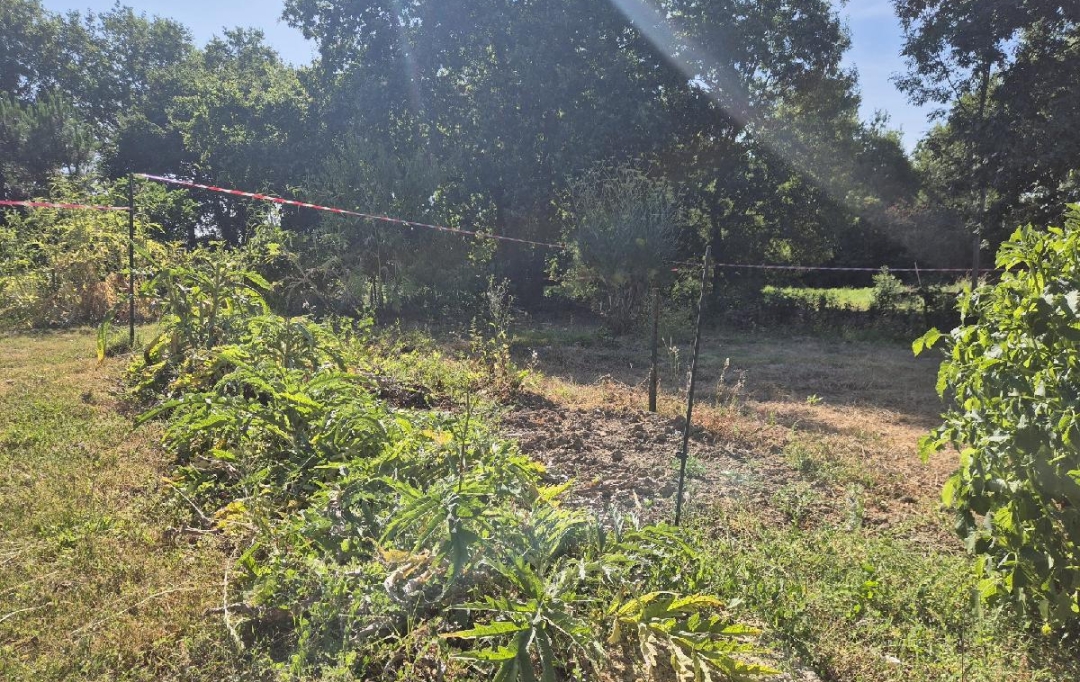 Cote & Sables Immobilier : Terrain | GROSBREUIL (85440) | 508 m2 | 55 500 € 