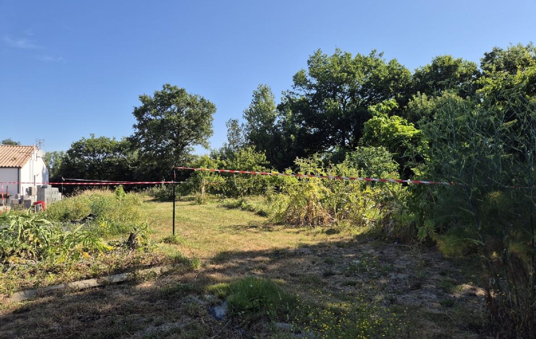Cote & Sables Immobilier : Terrain | GROSBREUIL (85440) | 508 m2 | 55 500 € 
