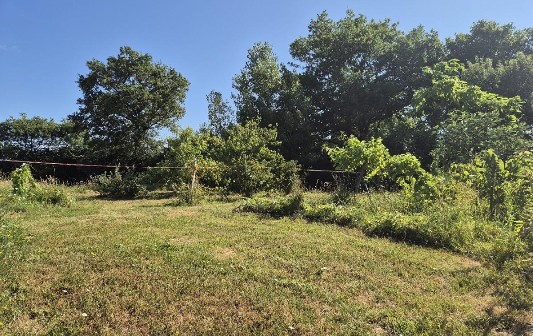 Cote & Sables Immobilier : Terrain | GROSBREUIL (85440) | 508 m2 | 55 500 € 
